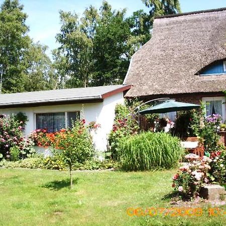 Ferienwohnung "Kleine Deichperle" Prerow Extérieur photo
