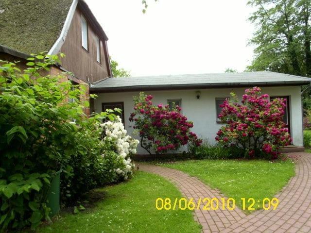 Ferienwohnung "Kleine Deichperle" Prerow Extérieur photo