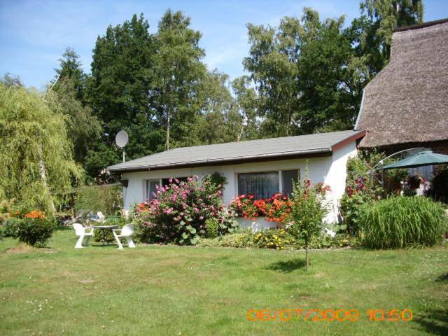 Ferienwohnung "Kleine Deichperle" Prerow Extérieur photo