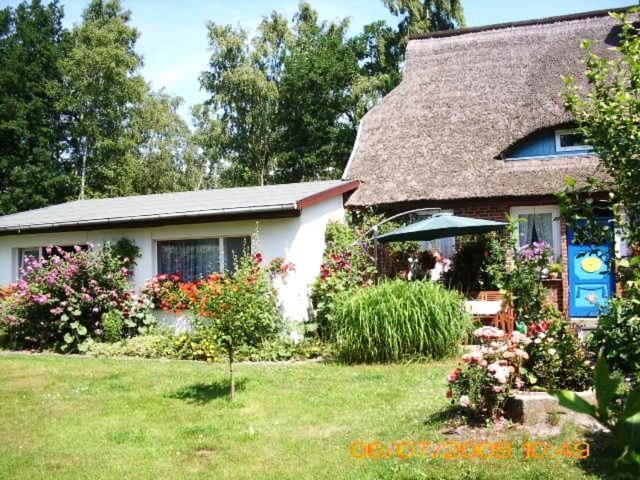 Ferienwohnung "Kleine Deichperle" Prerow Extérieur photo